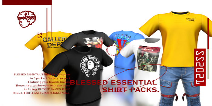 -[B]-Blessed ESSENTIAL Tshirt (FATPACK)
