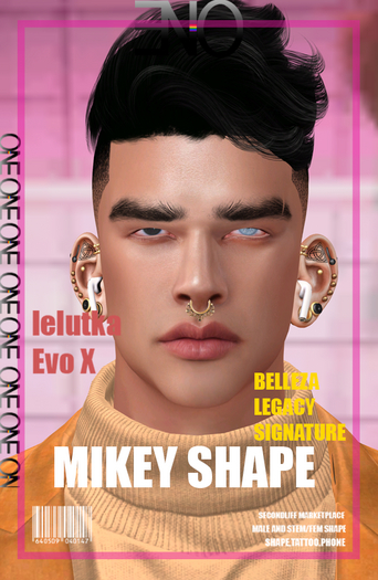 "ENO MIKEY SHAPE LEL EVO X LOGAN