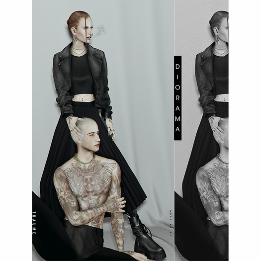 T R A U M E _D I O R A M A _ Posecouple
