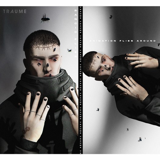 T R A U M E _ R A N CI D _ Animated _ Flies