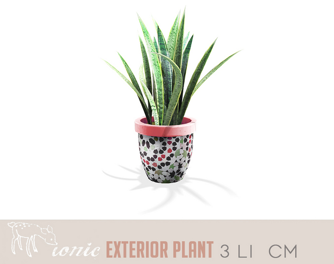 ionic :  Exterior plant