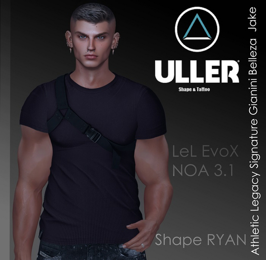 Shape Ryan lel EvoX NOA 3.1