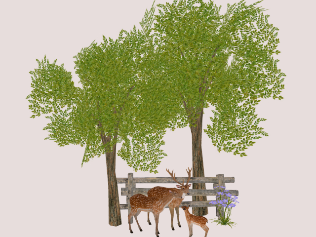 Fence.Trees And Deers
