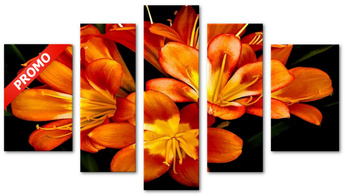 Orange Flowers