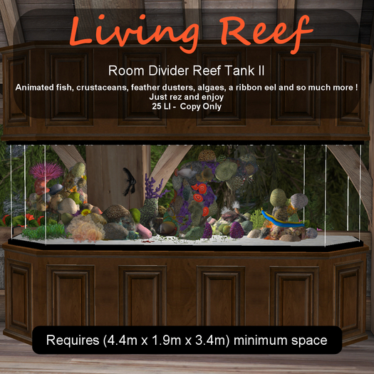 Inochi Reef : Room Divider Reef Tank II