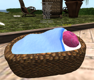 BioBreeds v1.0.0 ♂M