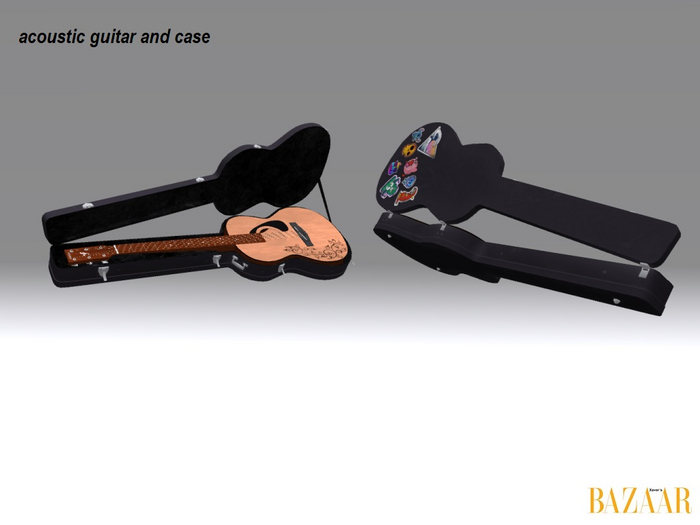 acoustic guitar and case