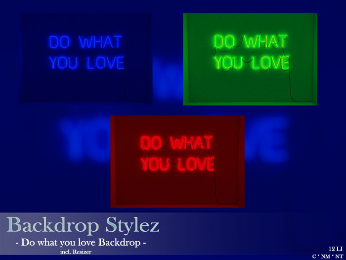 Backdrop Stylez - Do what you love Backdrop -