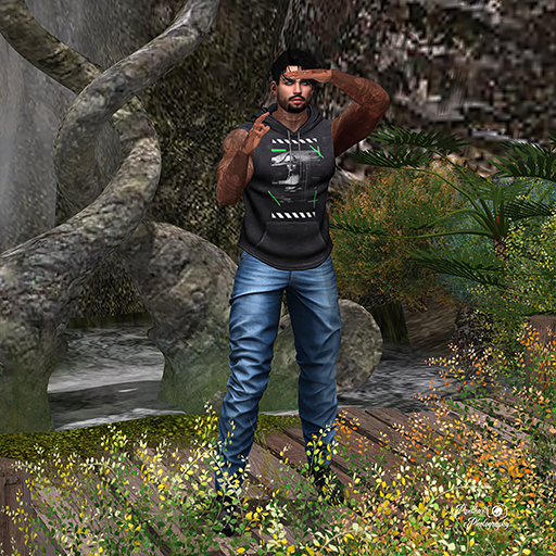 [Panthar Pose] In the Distance