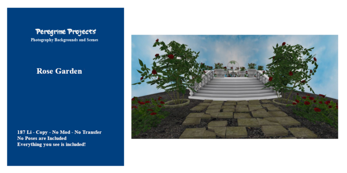 Peregrine_Project - Rose Garden