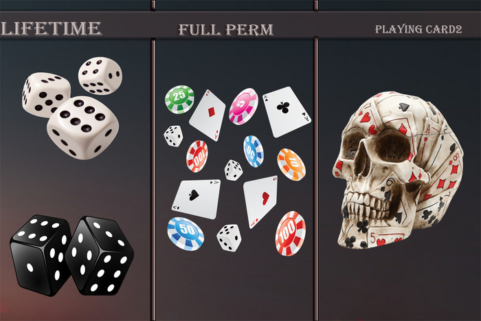 LIFETIME FULL PERM Playing card2