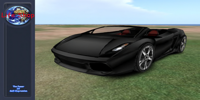 L Gallardo Cabrio