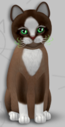 KittyCatS Box - New Born Kitten