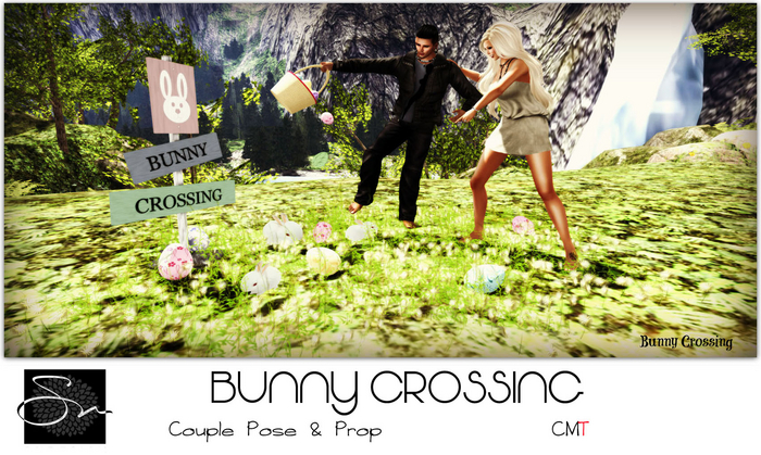 **SN~ Bunny Crossing