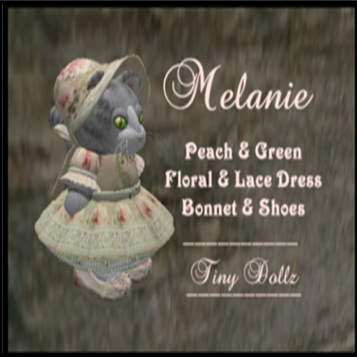 Tiny Dollz Melanie Peach & Green BOX
