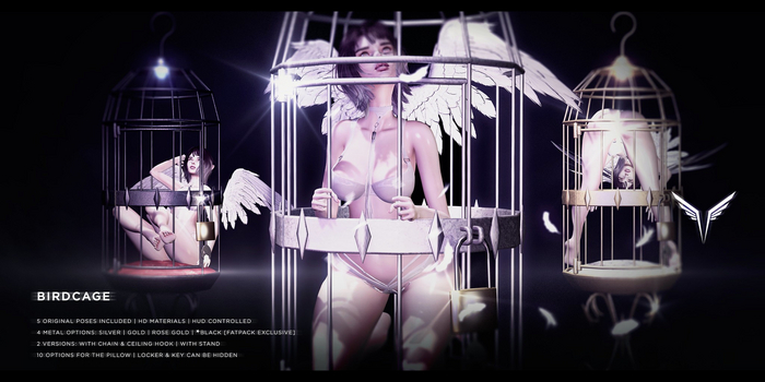 \-VALKYR-/ The Birdcage [SILVER]