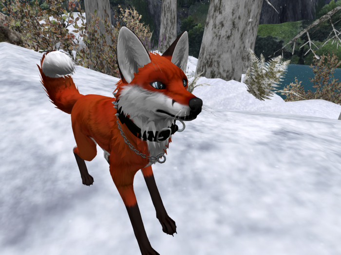 TWI Red Fox Texture Applier