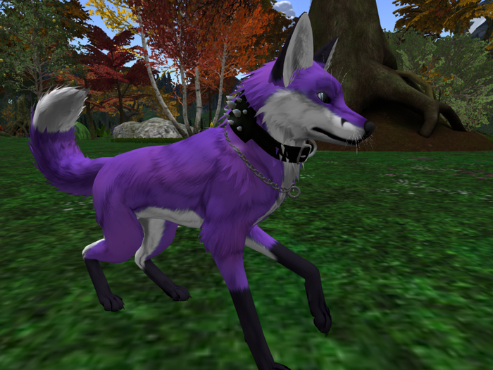 TWI Purple Fox Texture Applier