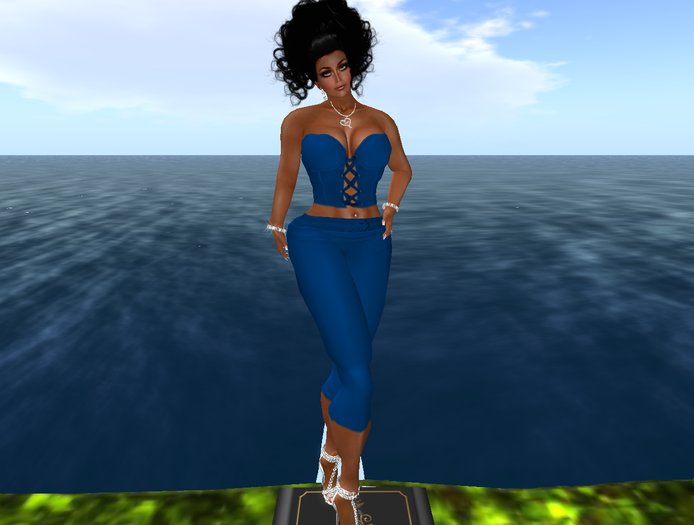 capri/crop pants, 2 tops blue 