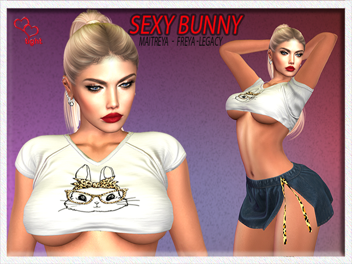 Sexy Bunny outfit 