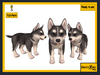Second Life Marketplace - ::DisturbeD:: Husky Dog Puppy - FULL PERM MESH