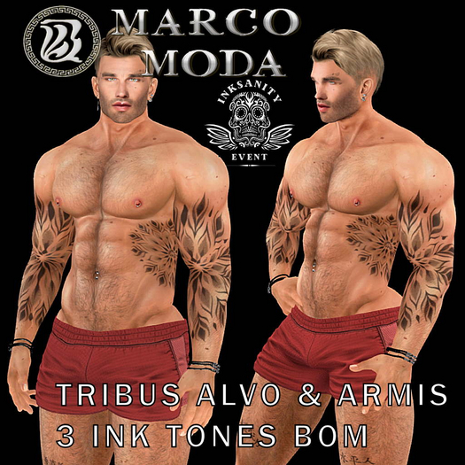 MM TRIBUS ALVO & ARMIS TATTOO BOM