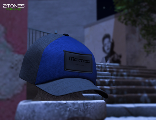 Mambo - 2Tones Cap - Black Blue 
