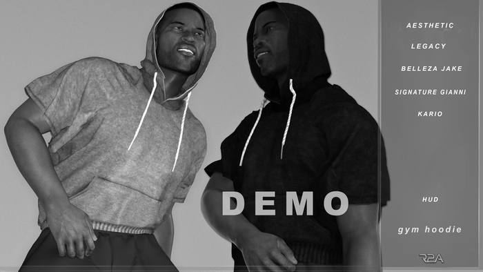 R2A- GYM HOODIE DEMO
