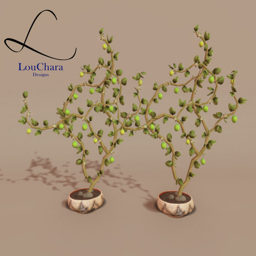 LouChara Lime Tree