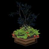 Faye's Blueberry Guild