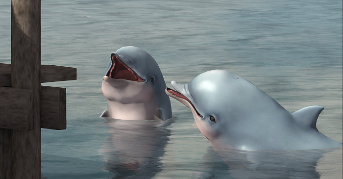 Beach - Dolphins - Framed