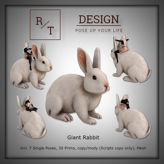 R/T - Giant Rabbit [wear to unpack]