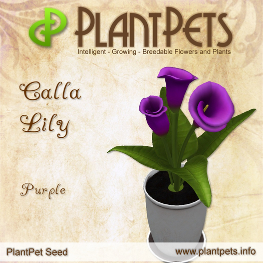 PlantPet Seed [Calla Lily *Purple*]