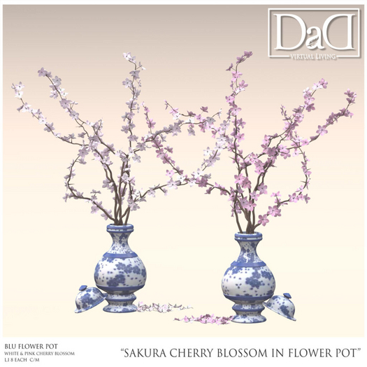 DaD - Sakura Cherry Blossom In Flower Pot - blu