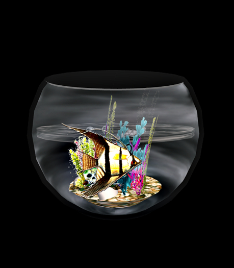 Better ♡ Fish Bowl