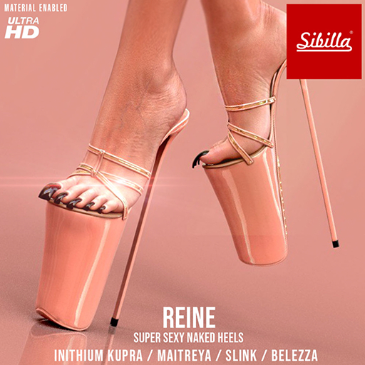 >Sibilla< REINE FAT PACK