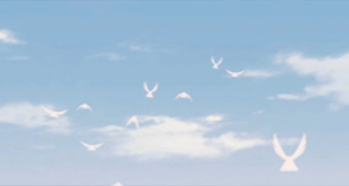 Pigeons. Animated picture