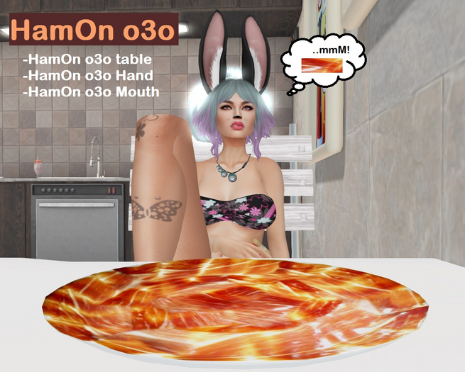 [DS] HamOn o3o