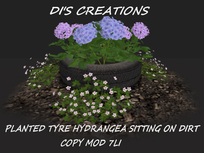 PLANTED TYRE HYDRANGEA