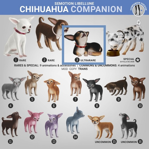 SEmotion Libellune Chichuachua Companion RARE 02