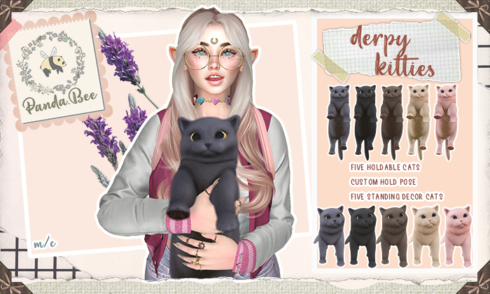 PandaBee - Derpy Grey Kitty