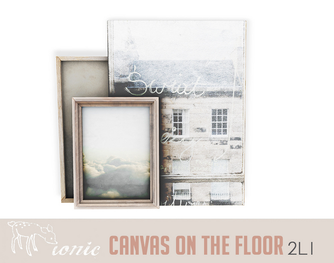 ionic : Canvas on the floor