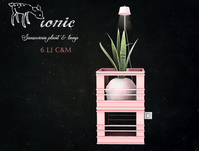 ionic : Sansevieria plant & lamp