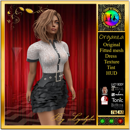 DEMO Organza Dress