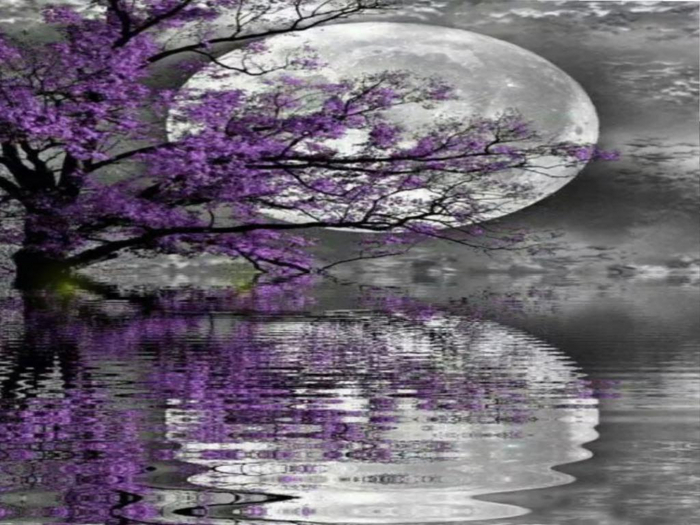 Moonlight Bliss Texture