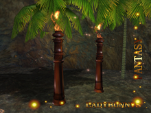 *⊱•Enchanted Darkness Torch•⊰*Island Torch 2 (Tiki)