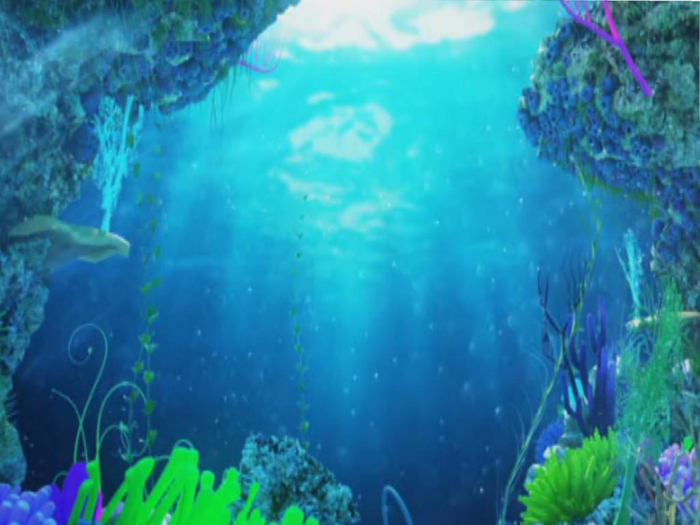 Underwater Life Texture