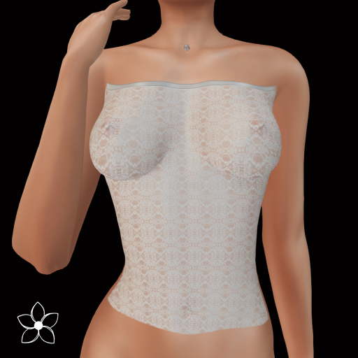 Modesty Panel Lace 006