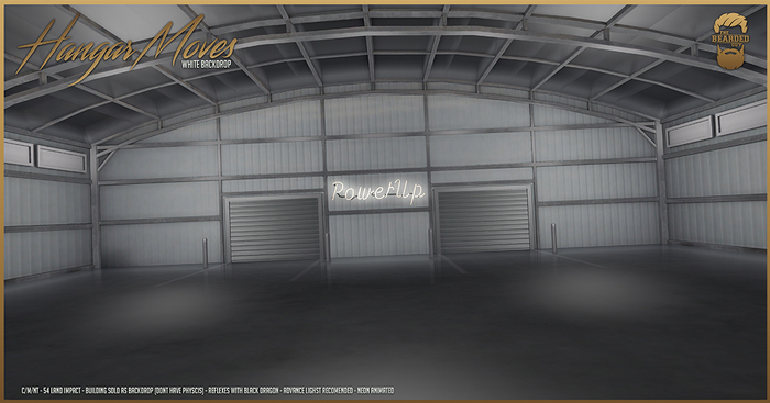 Hangar Moves White Backdrop - The Bearded Guy