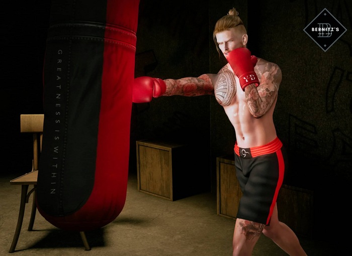 [Bernitz's Poses] - Boxing